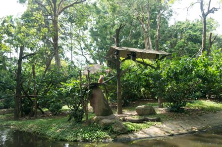 2015-01-02 Sinapore 2015 23.jpg