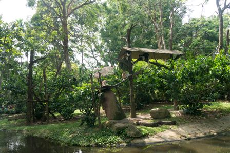 2015-01-02 Sinapore 2015 24.jpg