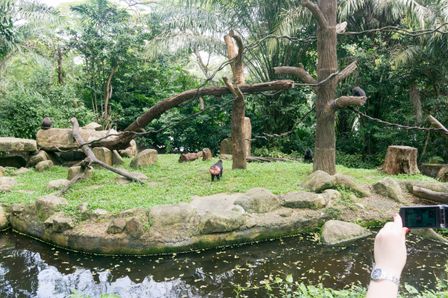 2015-01-02 Sinapore 2015 25.jpg