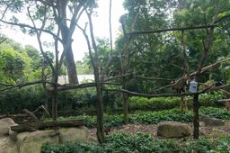 2015-01-02 Sinapore 2015 26.jpg