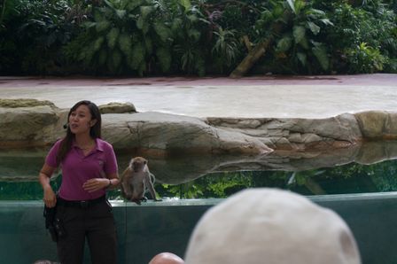 2015-01-02 Sinapore 2015 27.jpg