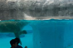 2015-01-02 Sinapore 2015 31.jpg