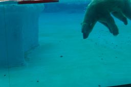 2015-01-02 Sinapore 2015 37.jpg