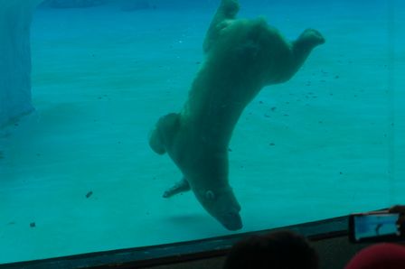 2015-01-02 Sinapore 2015 39.jpg