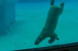 2015-01-02 Sinapore 2015 40.jpg