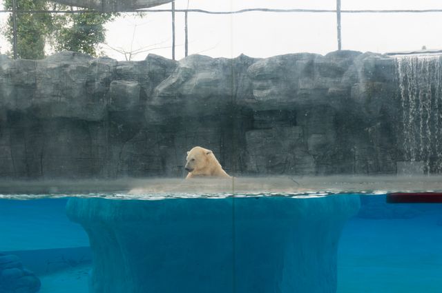 2015-01-02 Sinapore 2015 44.jpg