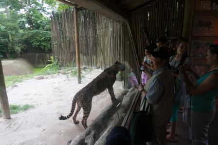 2015-01-02 Sinapore 2015 46.jpg