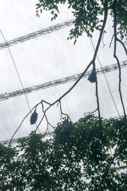 2015-01-02 Sinapore 2015 53.jpg