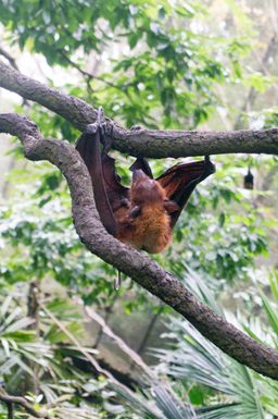 2015-01-02 Sinapore 2015 54.jpg
