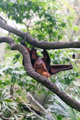 2015-01-02 Sinapore 2015 55.jpg