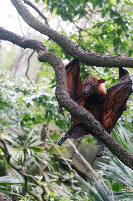 2015-01-02 Sinapore 2015 57.jpg