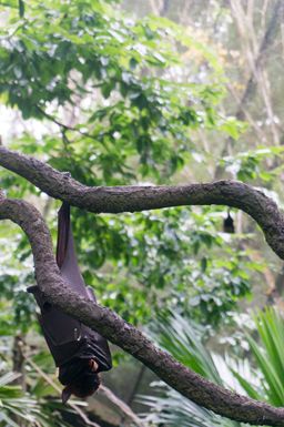2015-01-02 Sinapore 2015 58.jpg