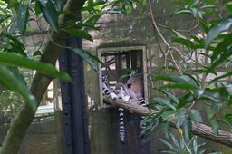 2015-01-02 Sinapore 2015 59.jpg