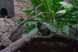 2015-01-02 Sinapore 2015 63.jpg