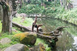 2015-01-02 Sinapore 2015 64.jpg