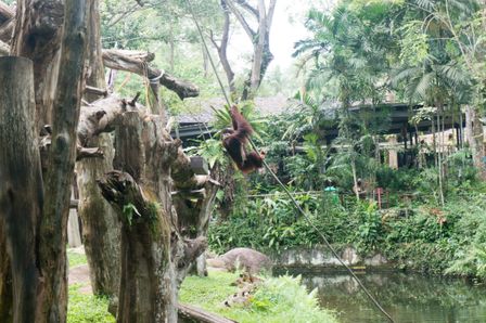 2015-01-02 Sinapore 2015 65.jpg