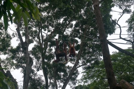 2015-01-02 Sinapore 2015 66.jpg