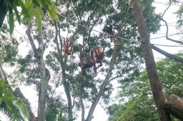 2015-01-02 Sinapore 2015 67.jpg