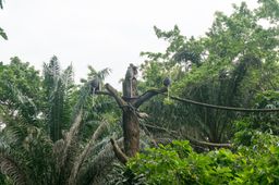 2015-01-02 Sinapore 2015 73.jpg