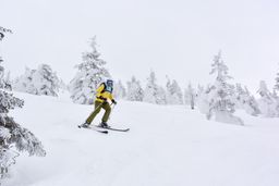 2015-03-01 2015-02-22 Ski Trip 2015 61.jpg
