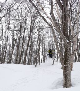 2015-03-01 2015-02-22 Ski Trip 2015 67.jpg