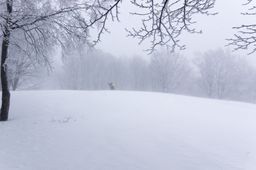 2015-03-02 2015-02-22 Ski Trip 2015 71.jpg