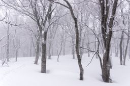 2015-03-02 2015-02-22 Ski Trip 2015 72.jpg