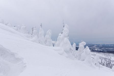 2015-03-03 2015-02-22 Ski Trip 2015 100.jpg