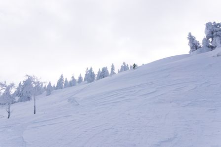 2015-03-03 2015-02-22 Ski Trip 2015 73.jpg
