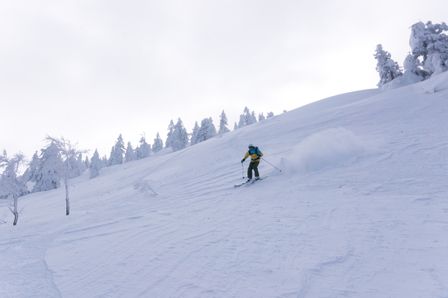 2015-03-03 2015-02-22 Ski Trip 2015 75.jpg