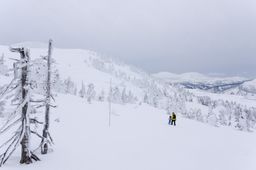2015-03-03 2015-02-22 Ski Trip 2015 84.jpg