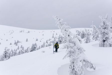 2015-03-03 2015-02-22 Ski Trip 2015 85.jpg