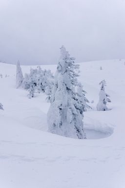 2015-03-03 2015-02-22 Ski Trip 2015 89.jpg