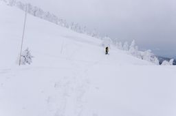 2015-03-03 2015-02-22 Ski Trip 2015 96.jpg