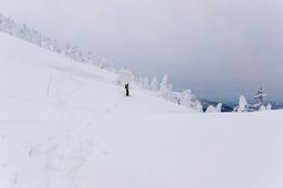2015-03-03 2015-02-22 Ski Trip 2015 97.jpg
