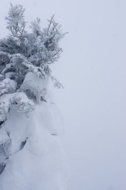 2015-03-05 2015-02-22 Ski Trip 2015 117.jpg