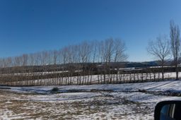 2016-08-11-NZ-Ski-Touring-07.jpg