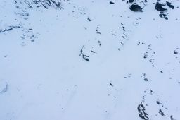 2016-08-14-NZ-Ski-Touring-31.jpg