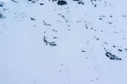 2016-08-14-NZ-Ski-Touring-32.jpg