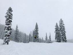 2017-02-27-Ski-Trip-2017-79.jpg