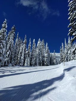 2017-02-28-Ski-Trip-2017-84.jpg