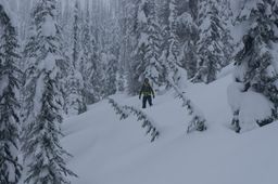 2017-03-03-Ski-Trip-2017-101.jpg