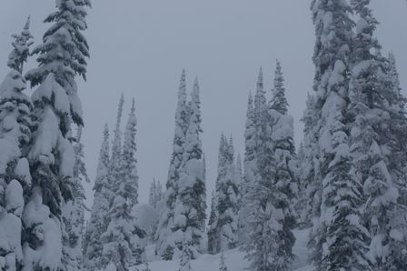 2017-03-03-Ski-Trip-2017-103.jpg