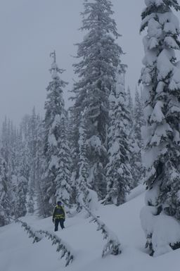 2017-03-03-Ski-Trip-2017-104.jpg