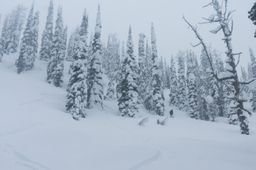 2017-03-03-Ski-Trip-2017-107.jpg