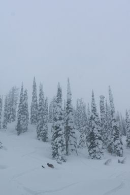 2017-03-03-Ski-Trip-2017-116.jpg