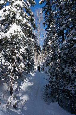 2017-03-07-Ski-Trip-2017-140.jpg