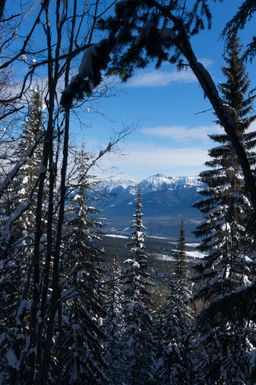 2017-03-07-Ski-Trip-2017-143.jpg
