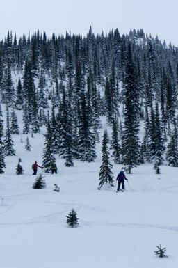 2017-03-07-Ski-Trip-2017-164.jpg