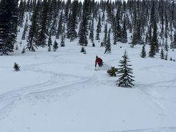 2017-03-07-Ski-Trip-2017-175.jpg